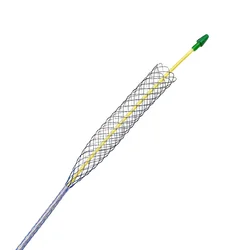 Professional Biliary Stent Human Implantable Stent Supplier