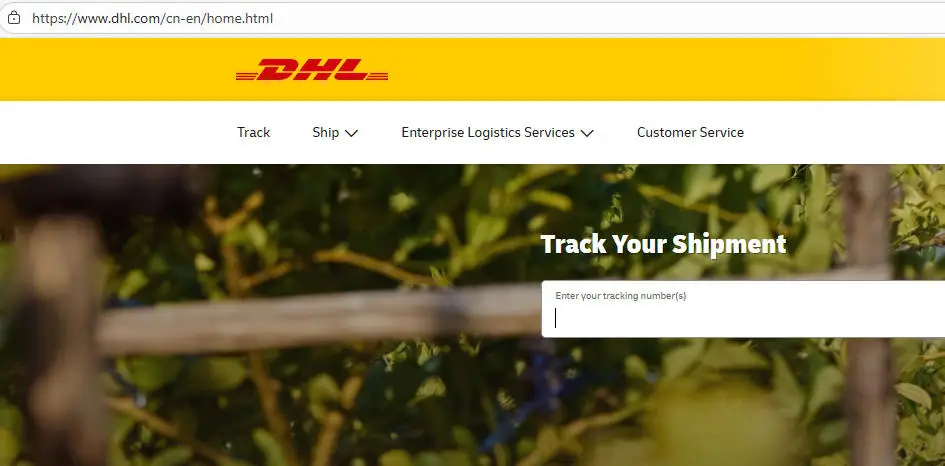 

Customize urgent Dress Extra Fee DHL fast shipping method