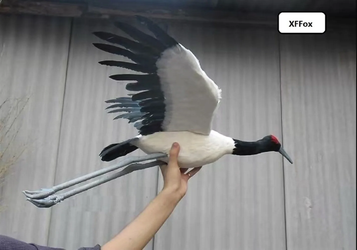 real life Red-crowned crane bird model foam&feather vivid wings Red-crowned crane doll gift about 45x80cm xf0943