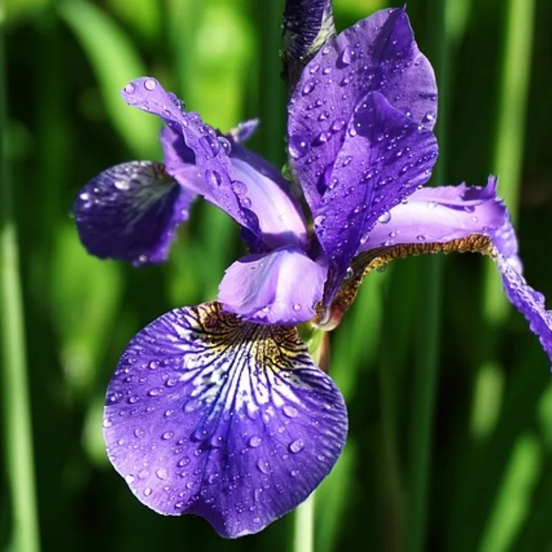 

Металлическое обновление, поворотный рычаг, рулевая чашка, шатун, комплект, для SCY 1/16 JJRC 16101 16102 16103 16104 16106 16201 Запчасти для радиоуправляемых автомобилей