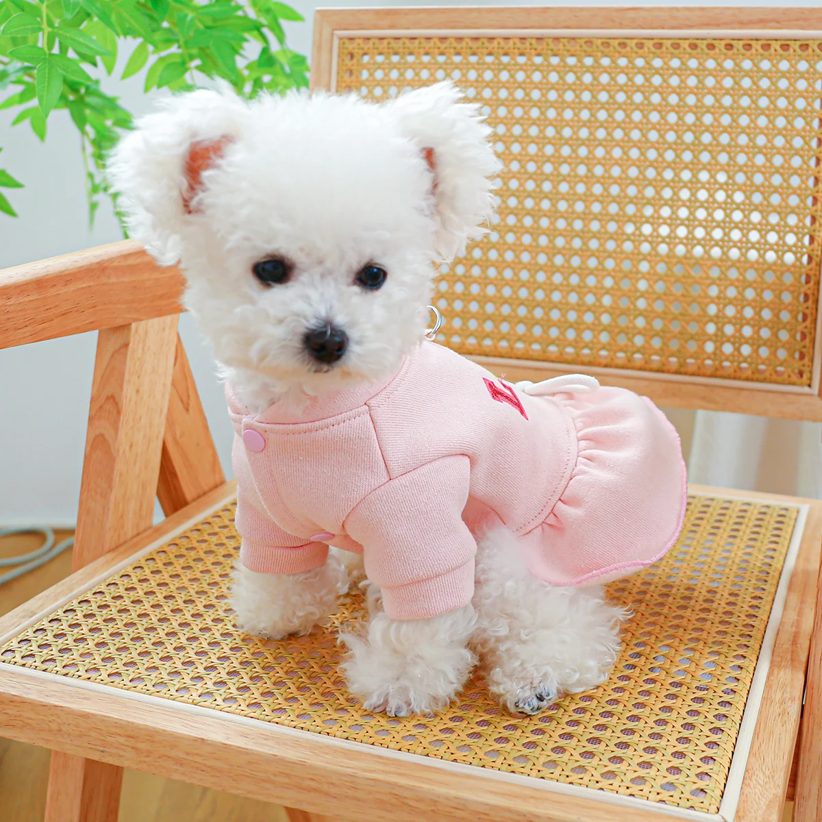 1PC Pet Clothing Dog Spring and Autumn Pink Love Princess Dress with Drawstring Buckle For Small Medium Dogs