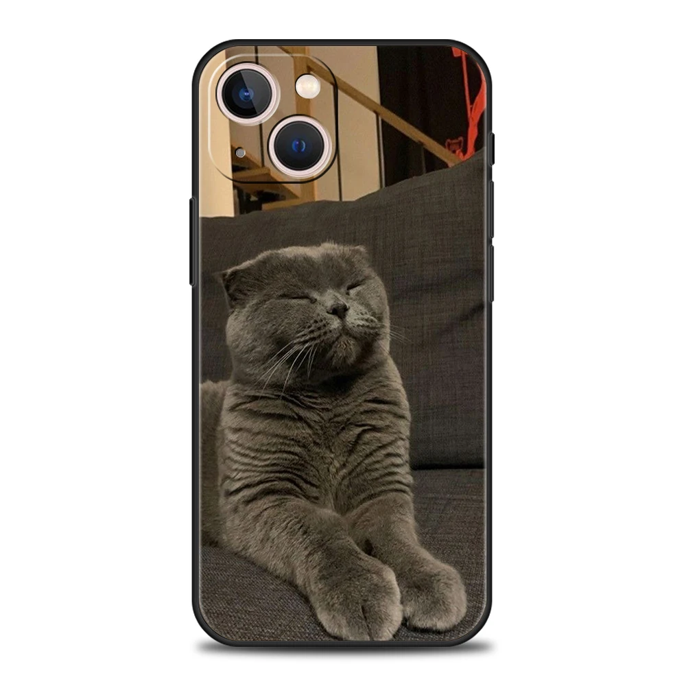 British shorthair cat Luxury Phone Case For iPhone 11 12 13 14 15 16 Pro Max Mini X XR XS 7 8 Plus SE Silicone Cover Black Funda