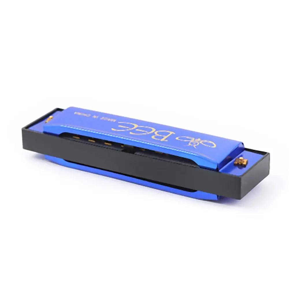 Portable Key of C 10 Hole Harmonica with Box Metal Diatonic Harmonica Beginner Teaching Rectangle Mouth Organ Children