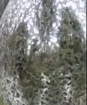 

Елочное украшение, подвеска, стеклянный шар