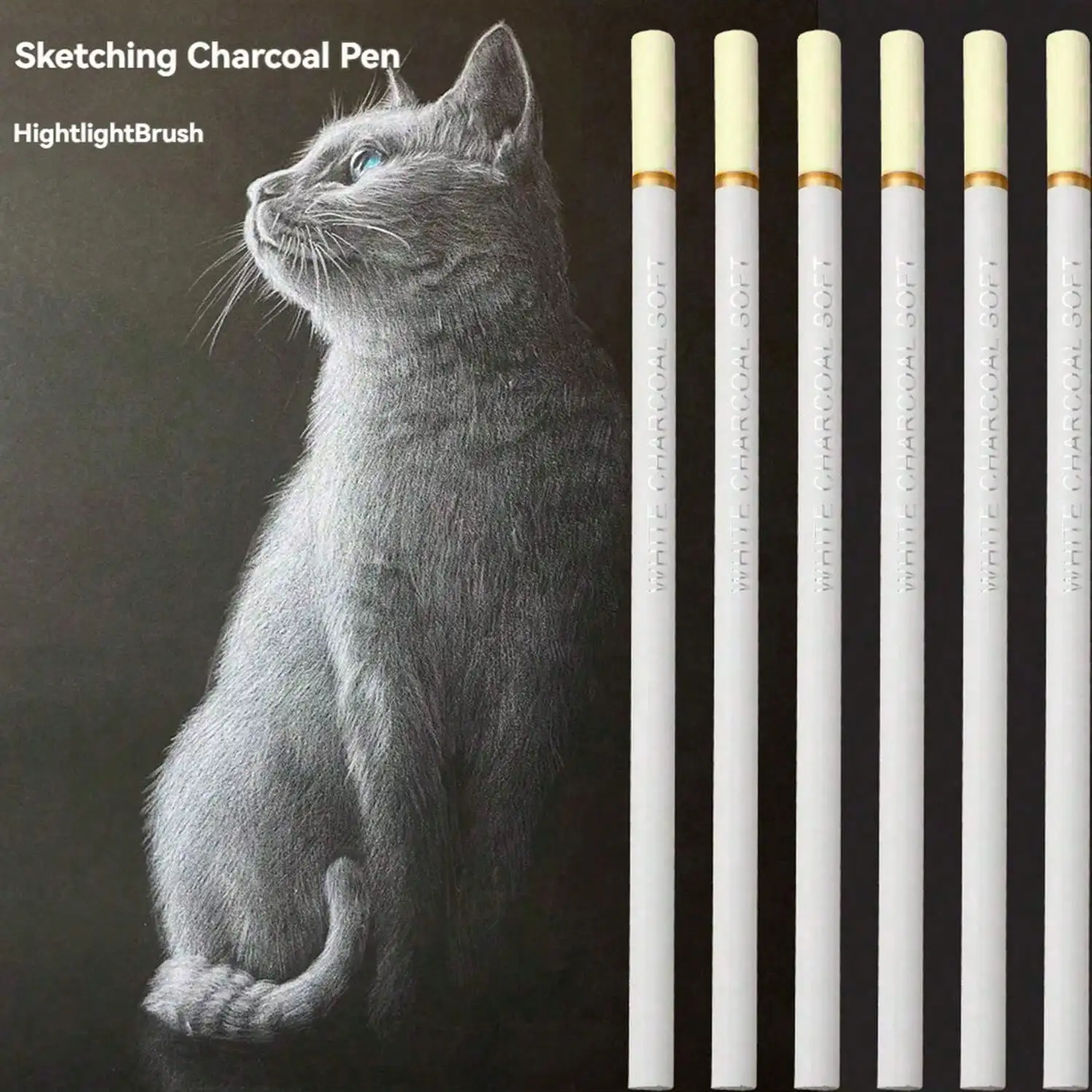 Professional White Charcoal Pencils Set, 3-6 Pieces | Highlight Charcoal Pencils for Drawing, Sketching,for Beginners & Artists