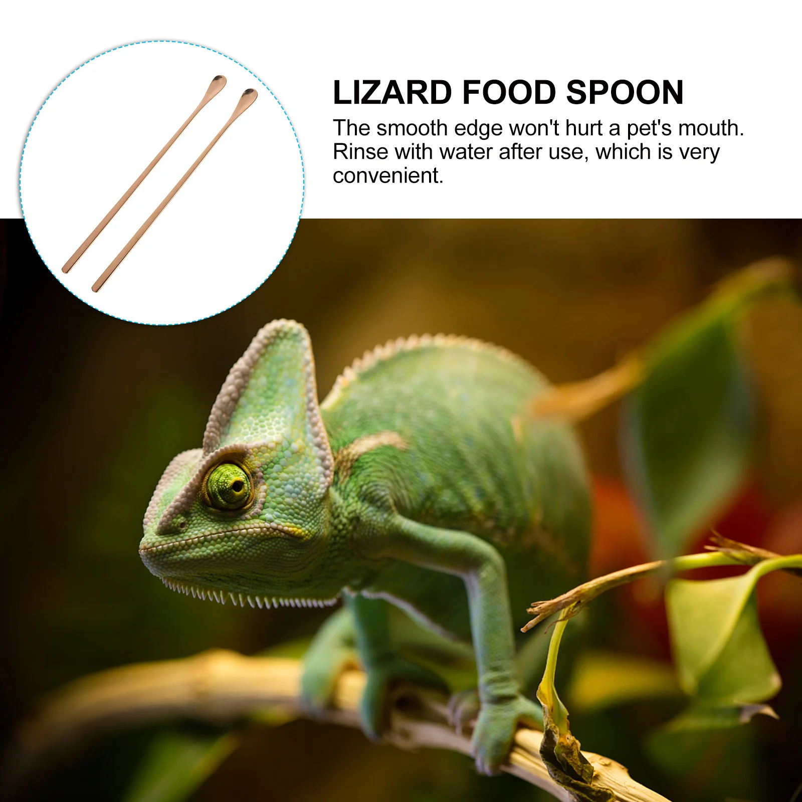 

2pcs Reptile Feeding Spoon Long Handle Lizard Food Scoop Pet Treat Tool Small Animal Supplies Clean Accessories