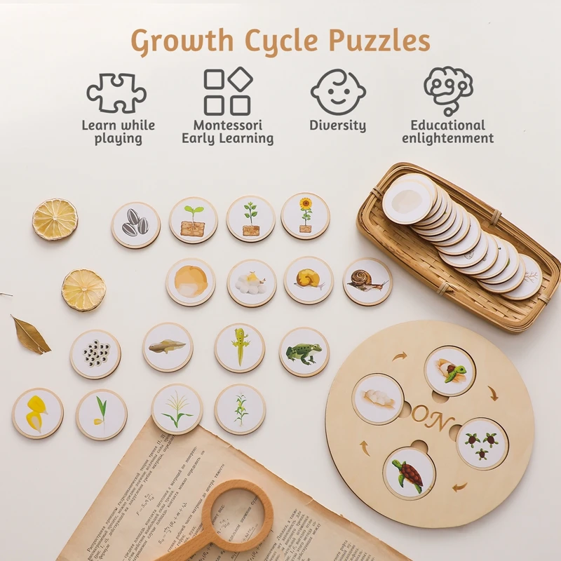 Life Cycle Board Montessori Kit para Crianças, Educação Científica, Bandeja Sensorial, Figura Animal, Geometria, Presente de Natal