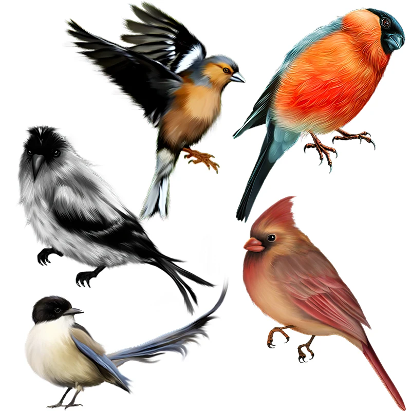 Three Ratels QCF173 Cute cartoon bird furniture household appliances scratches concealer case room wall stickers self-adhesive