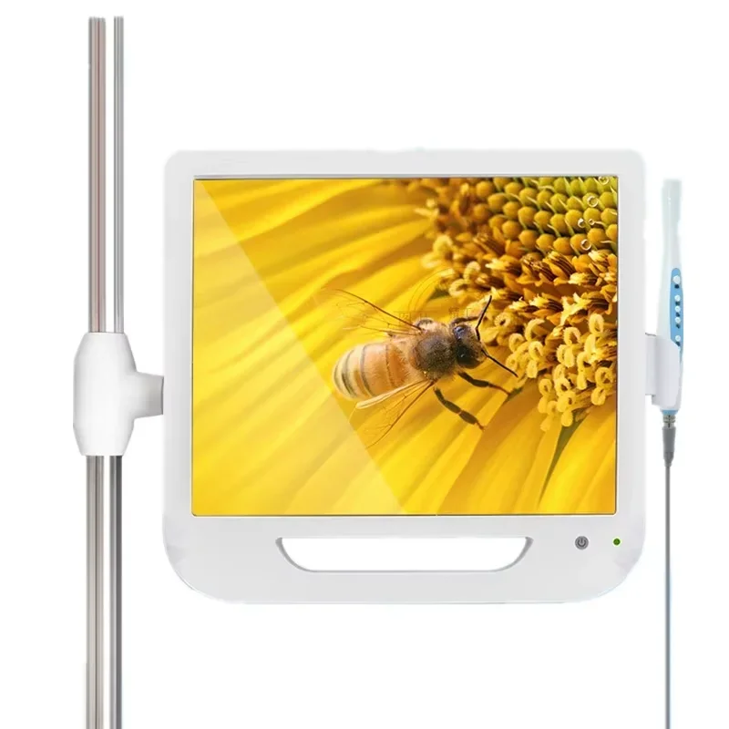 2025 Chair Unit Wif… - image