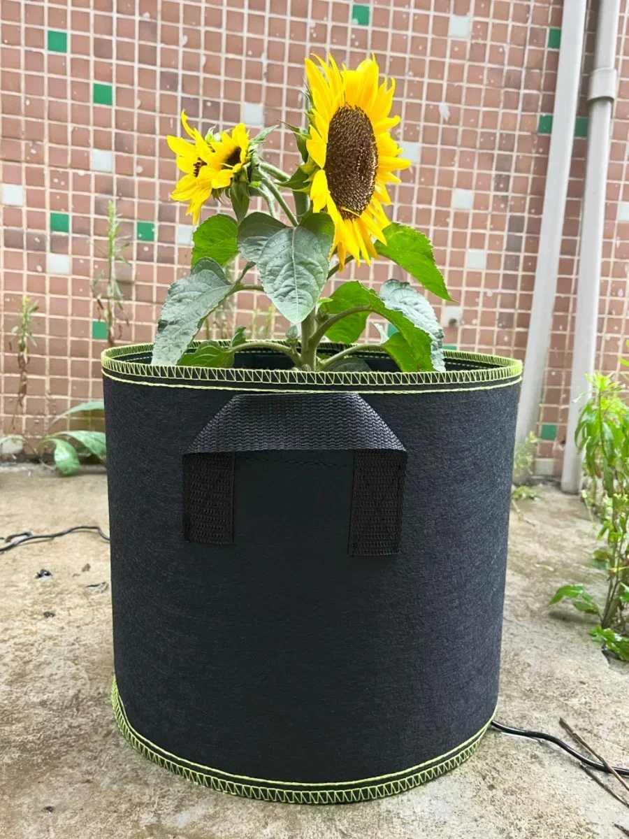5 gallon, 10 gallon, 20 gallon gardening non-woven flower pots indoor and outdoor planting containers