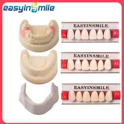 16/12 Sets/ Box Dental Denture Teeth Upper Anterior Lower Posterior Teeth Dentier Synthetic Polymer Teeth Dental Education Model