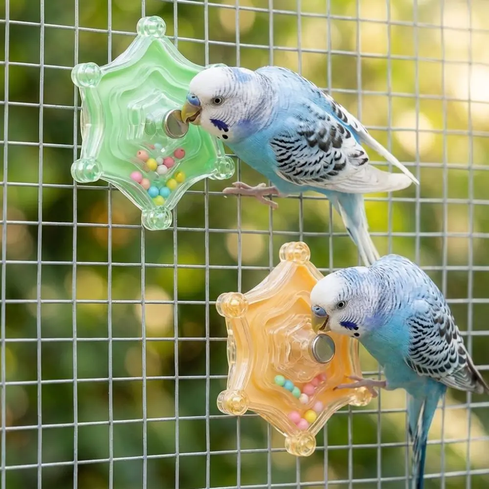 Colorful Beads Parrot Spinning Enrichment Toy Bite Resistant Plastic Self-play Bird Spinner Toy Star Shape Thickened