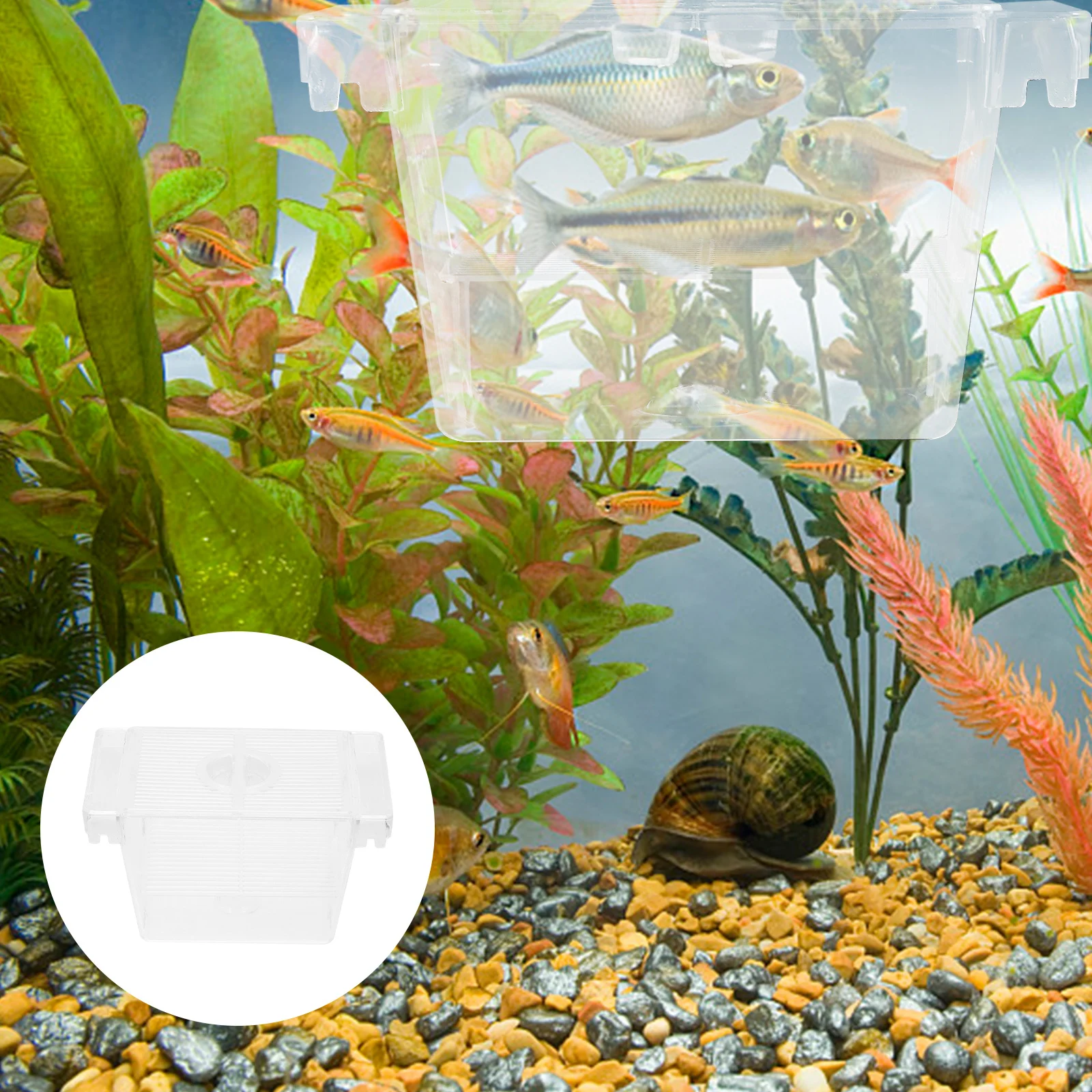 

Aquarium Breeding Incubator Box for Fish Fry and Betta Isolation Transparent Acrylic Hatchery Tank for Shrimp Protection
