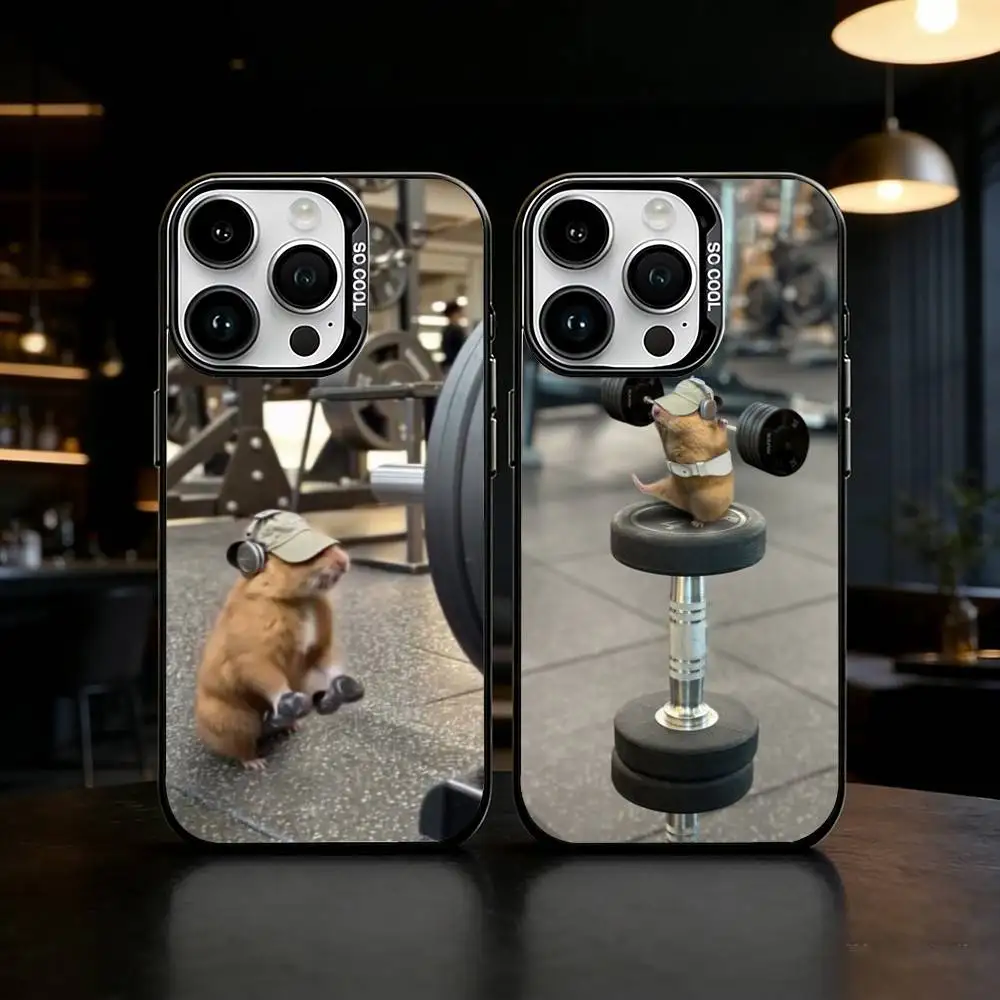 

Cute G-Gym H-Hamster Phone Case For iPhone 17,16,15,14,13,12,11,Pro Max,Plus Candy Silver Cover
