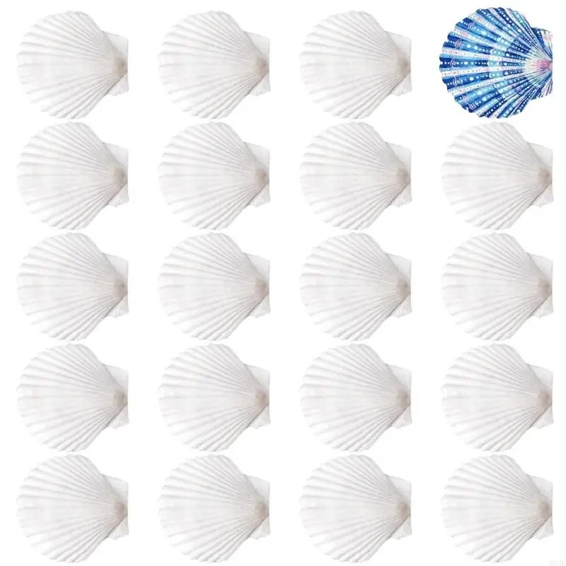 20 Stück natürliche weiße Muscheln, bemalbare natürliche Muscheln zum Handmalen und Kuchenbacken, Dekoration, Schule, B03E – Detail 10