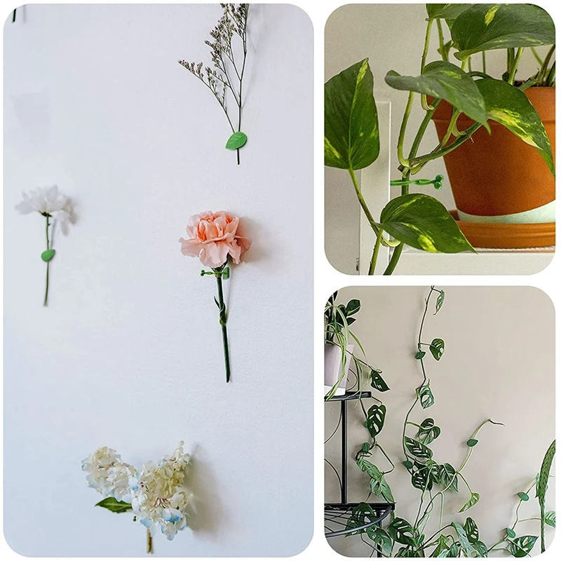 AA86 80 ชิ้นพืชปีนเขา Wall FIXTURE คลิปผู้ให้บริการพืช Vines สวนสีเขียวใบพืชผนังคลิป Vines สําหรับตกแต่ง