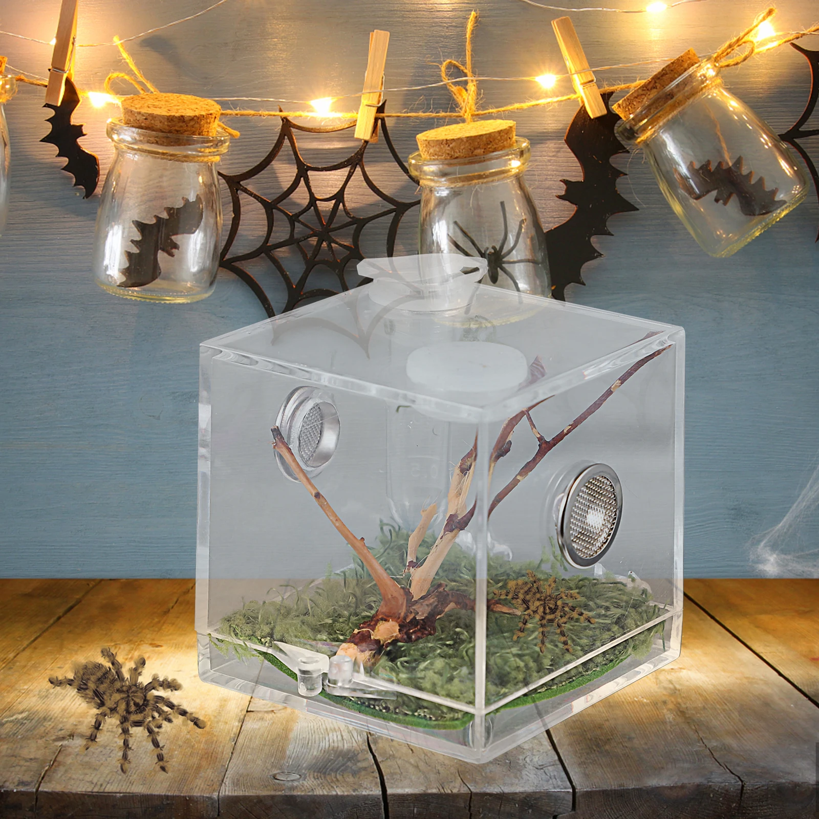 

3pcs Acrylic Terrarium Reptile Breeding Box Spider Enclosure Kit Small Crawling Insects Portable Lightweight Pet Play Rest Space