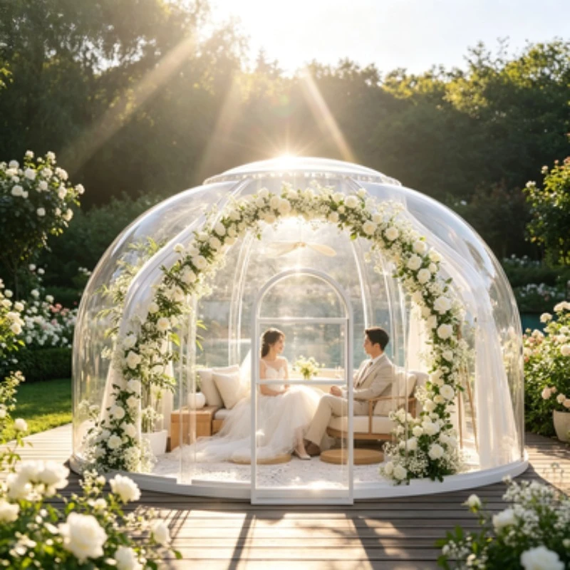 Bubble House Dome House Starry Sky Room 3m 5m 8m PC Transparent Geodesic Dome for Camping Hotel Glamping Tent Sale