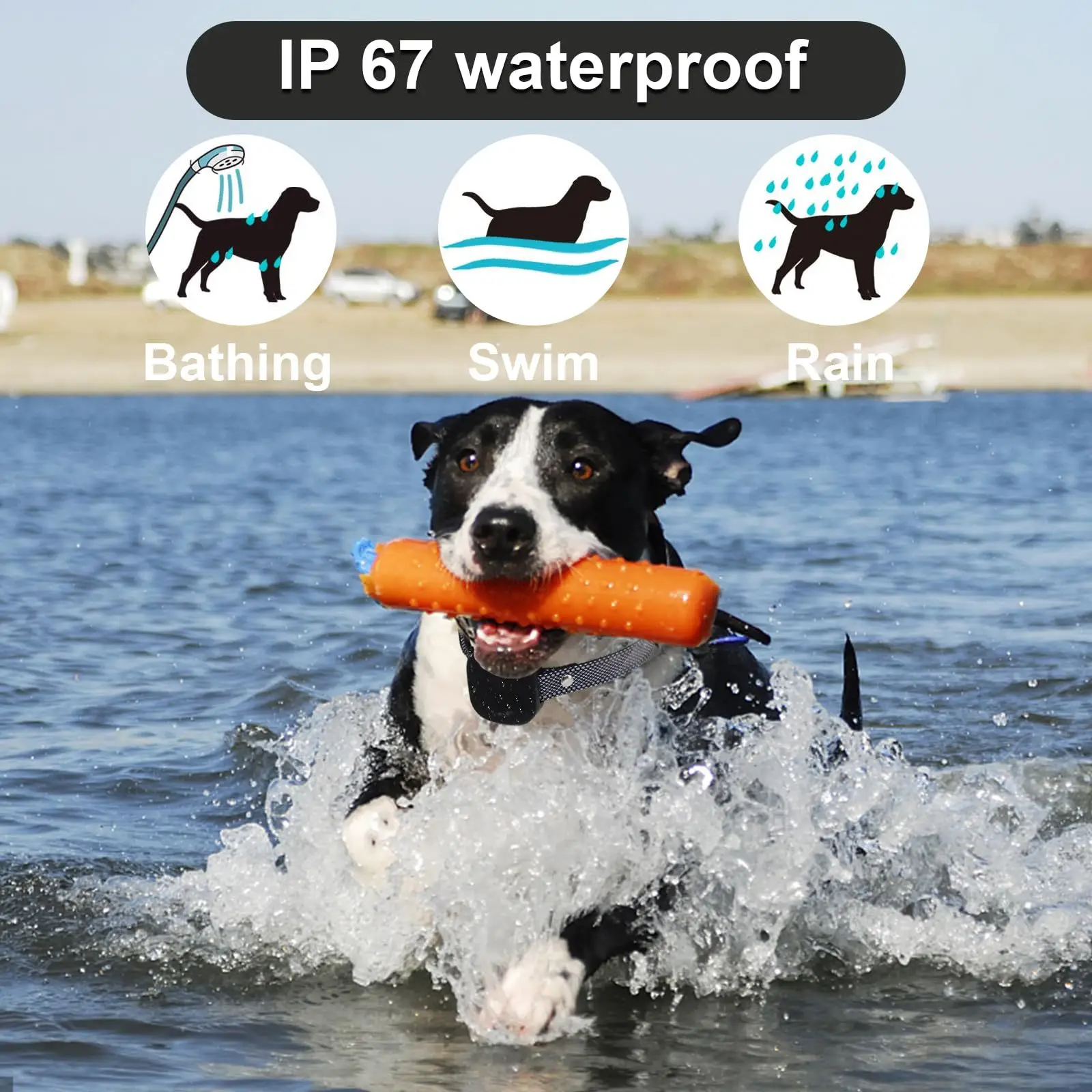 Large Dog Small Dog Anti-barking Device  Training, Remote Control  Training Device Dog Anti-barking Electric Shock Collar