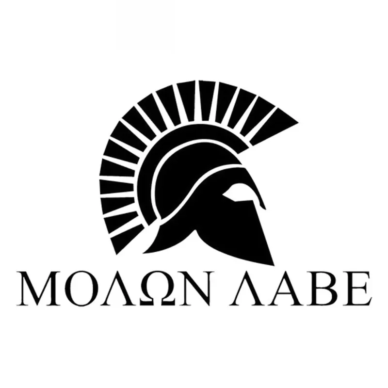 

Car Sticker Spartan Helmet Gun Spartan Helmet Second Amendment Car Sticker Creative Waterproof Sunscreen Black/White,15cm*10cm