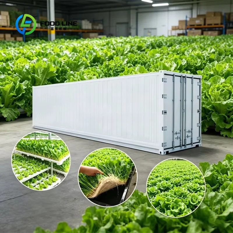 CUSTOMIZE Container Mushroom Growing Room Featuring PIR Insulation Remote Agricultural Specialty Crop Production Turnkey Project