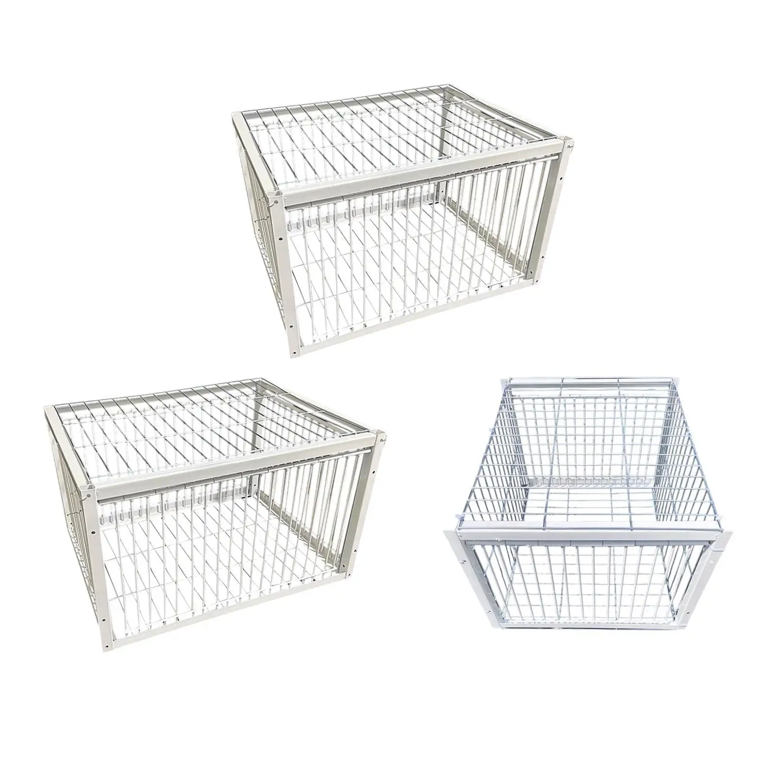 Bird Trap Cage Metal Single Way Entry Pigeon Coop for Chicken Parrots Doves