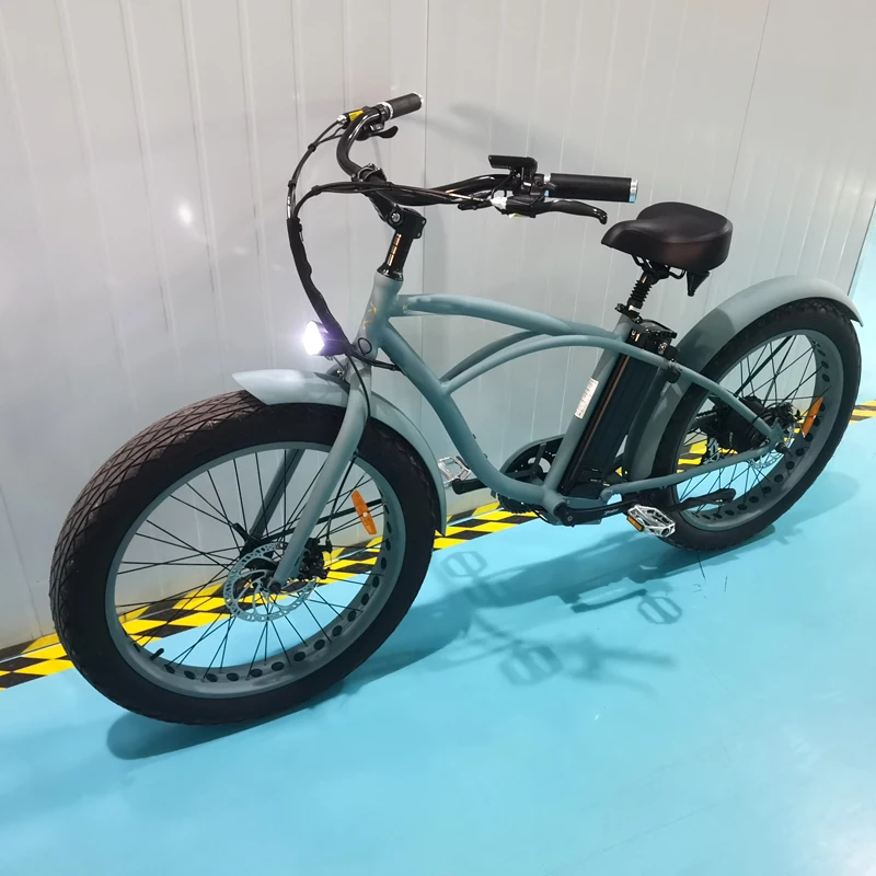 Electric Bike 3 Wheel Pedal Assist  Sidecar to Carry Pets  Fat Tire Tricycle