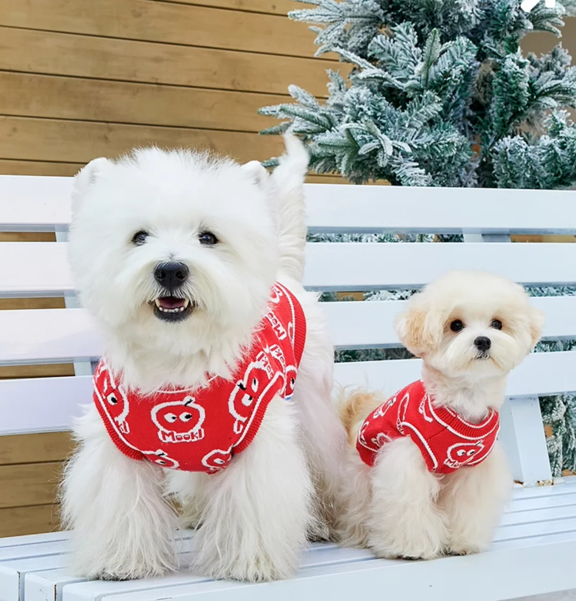 Suéter para cachorros y gatos, ropa cálida de invierno para perros pequeños y medianos, abrigo para Chihuahua, perro salchicha, Bulldog Francés, Yorkie, caniche, traje para mascotas