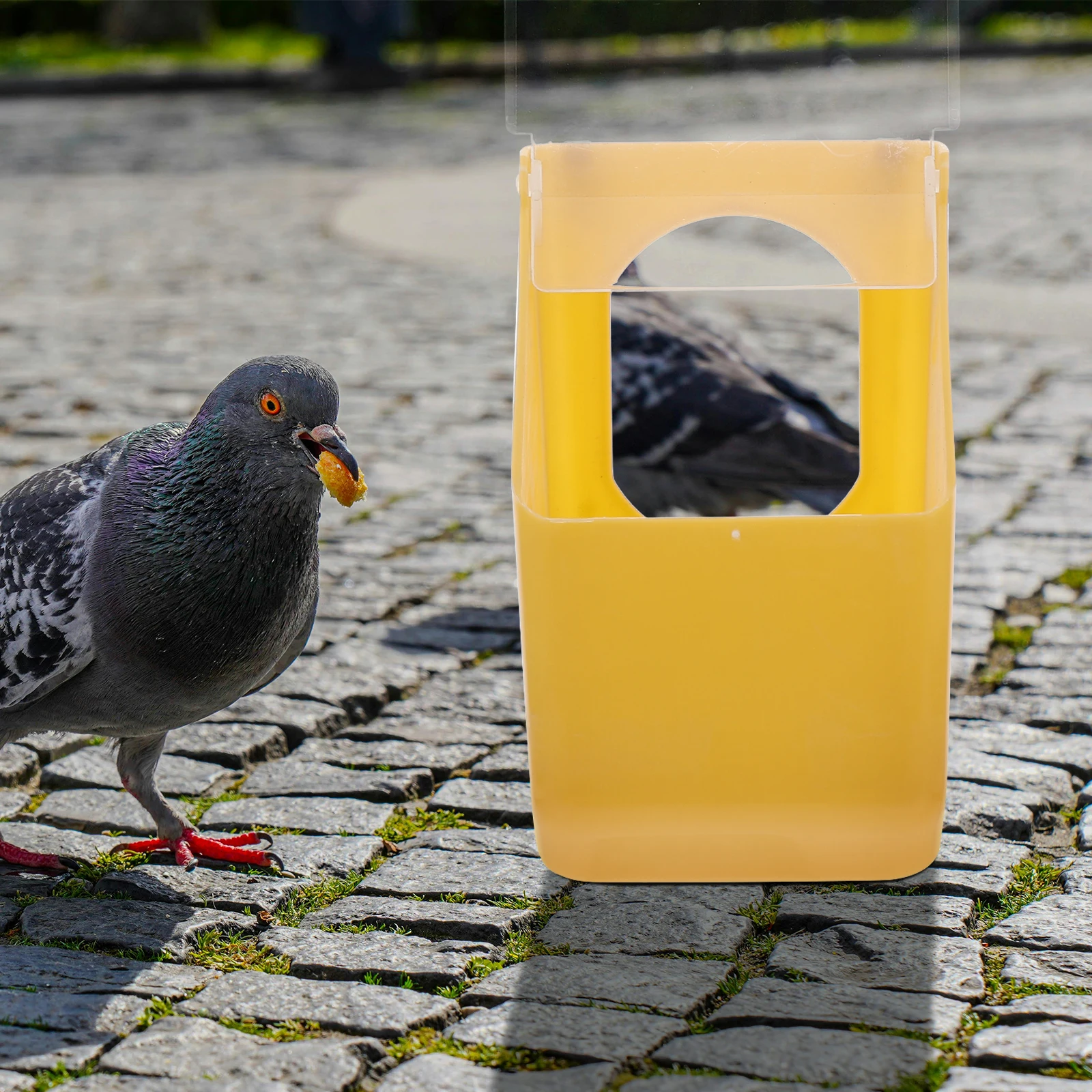 

2pcs Pigeon Feeder Plastic Chicken Feeders Hanging Sink Holder for Chickens Cockatiels Bird Small Poultry Quail Spacesaving