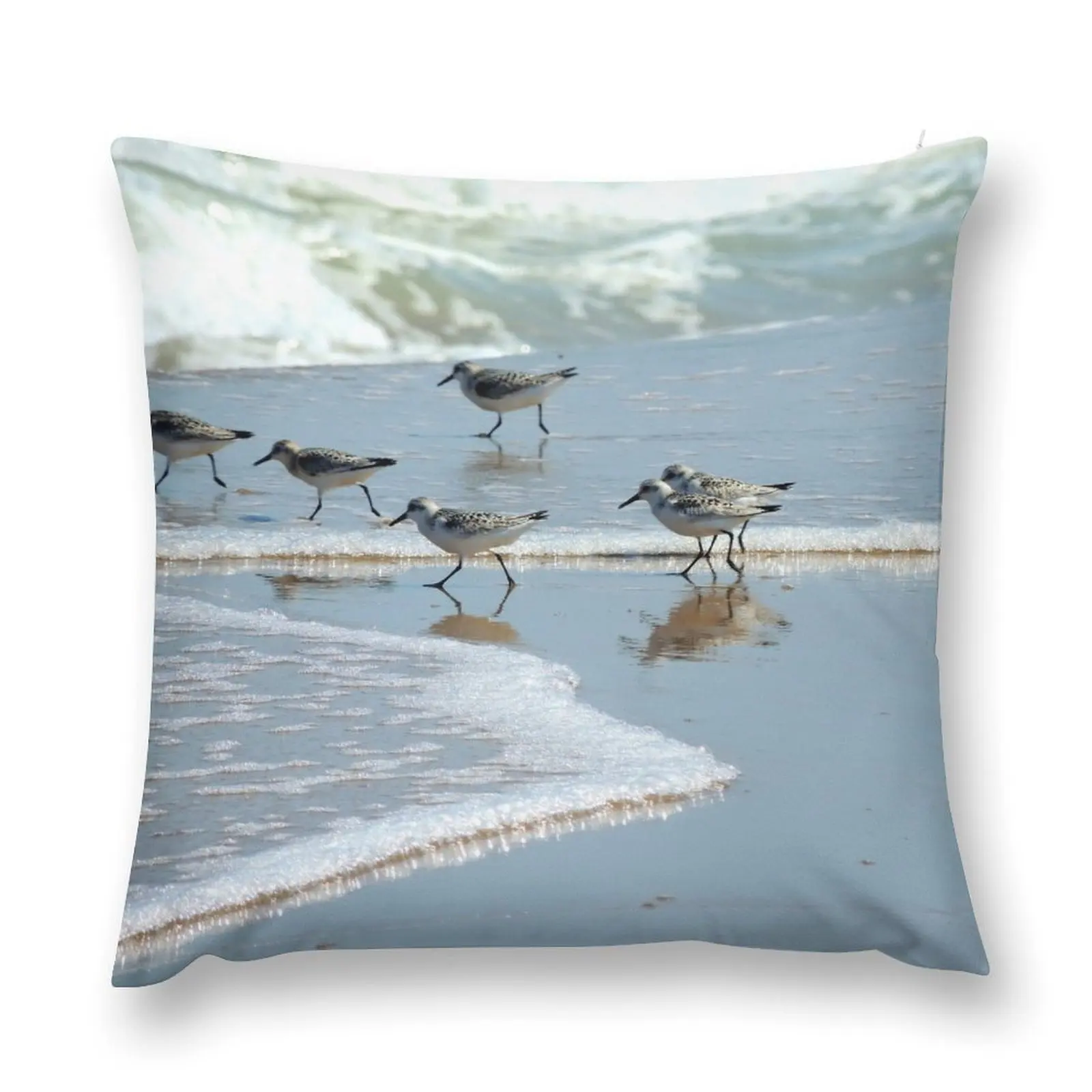 Common Sandpipers Throw Pillow Marble Cushion Cover Pillow Case Plaid Sofa pillow