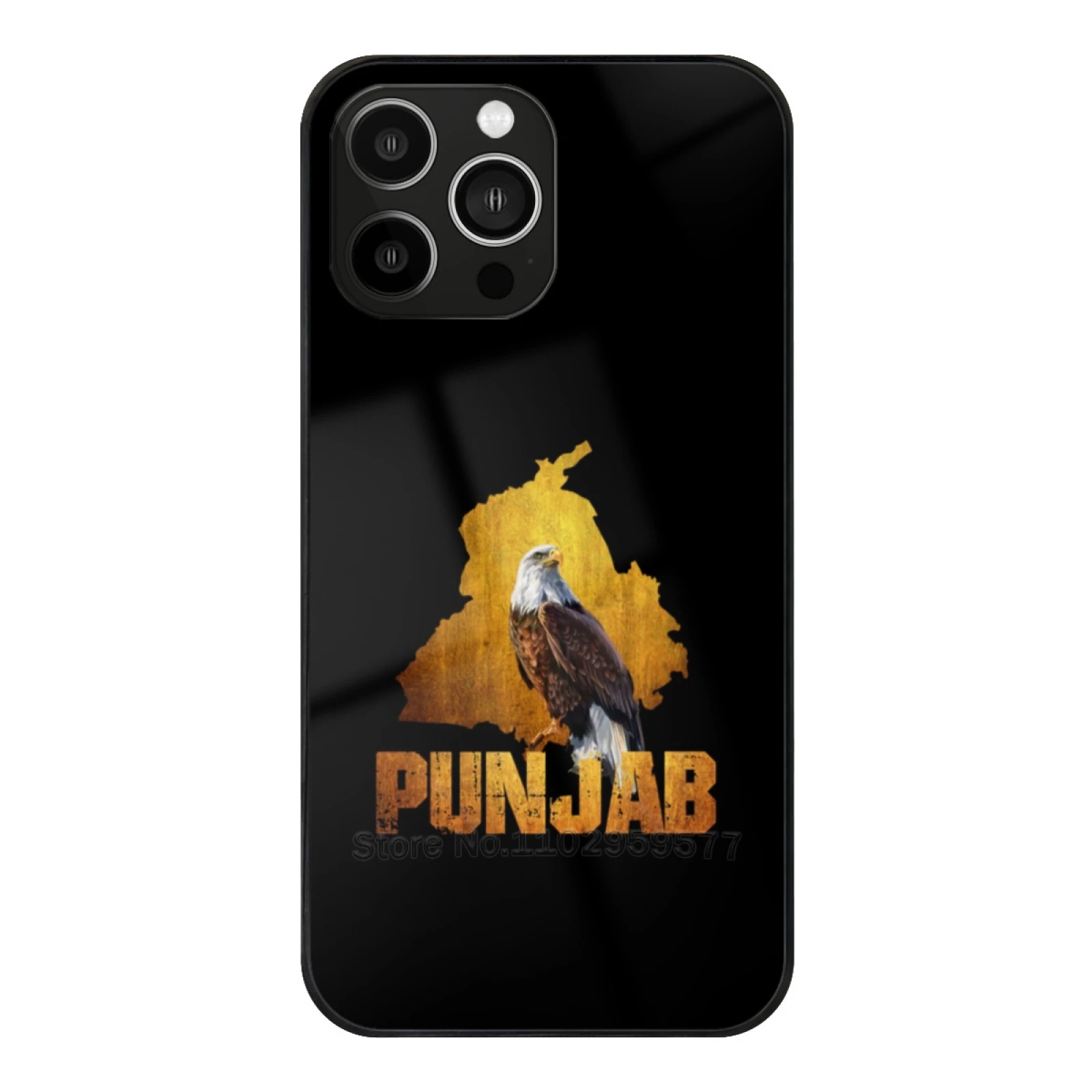 Punjab Tempered Glass Case For Iphone 15 14 13 12 11 Pro Max X 7 Plus Case Punjab Punjabi Punjab Punjab Mobile Cover Punjab