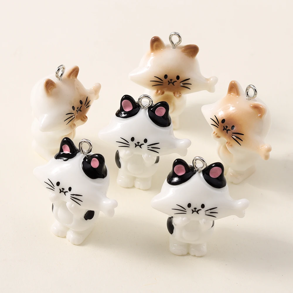 5 Stück Harz lustige süße 3D-Cartoon-Essfische Katze Charms für DIY Ohrringe Schlüsselanhänger Armband Schmuck Anhänger