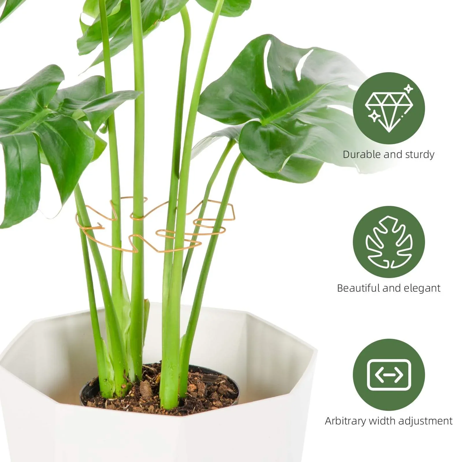 1–5 Stück Monstera-Stabilisator, Schildkrötenpanzer, Bambus-Klemm-Set für Kletterpflanzen, unterstützt gesundes Wachstum, Metall-Gartenpflanzenstützen