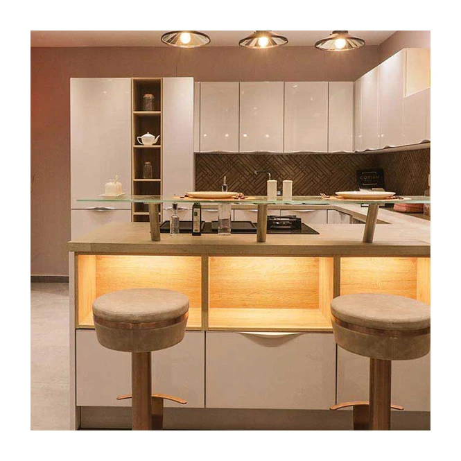 Modern Style Kitchen Cabinet with Acrylic Door Panel and Hinge Accessory