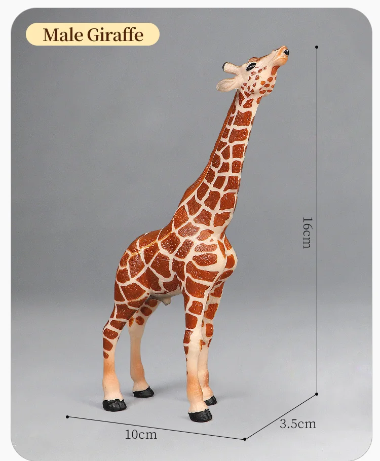 African Wildlife World Giraffe Set – Lernspielzeug mit Tiermodellen, Actionfiguren für Kinder, Simulations-Lernspielzeug – Detail 4