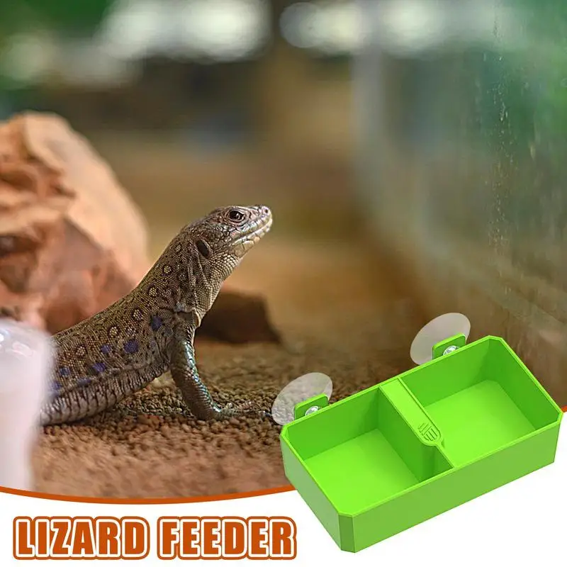 Reptile Feeder Bowl Anti-Escape Reptile Bowl Feeding Drinking Dish For Gecko Lizard Iguana Chameleon Spider Drop Shipping supply