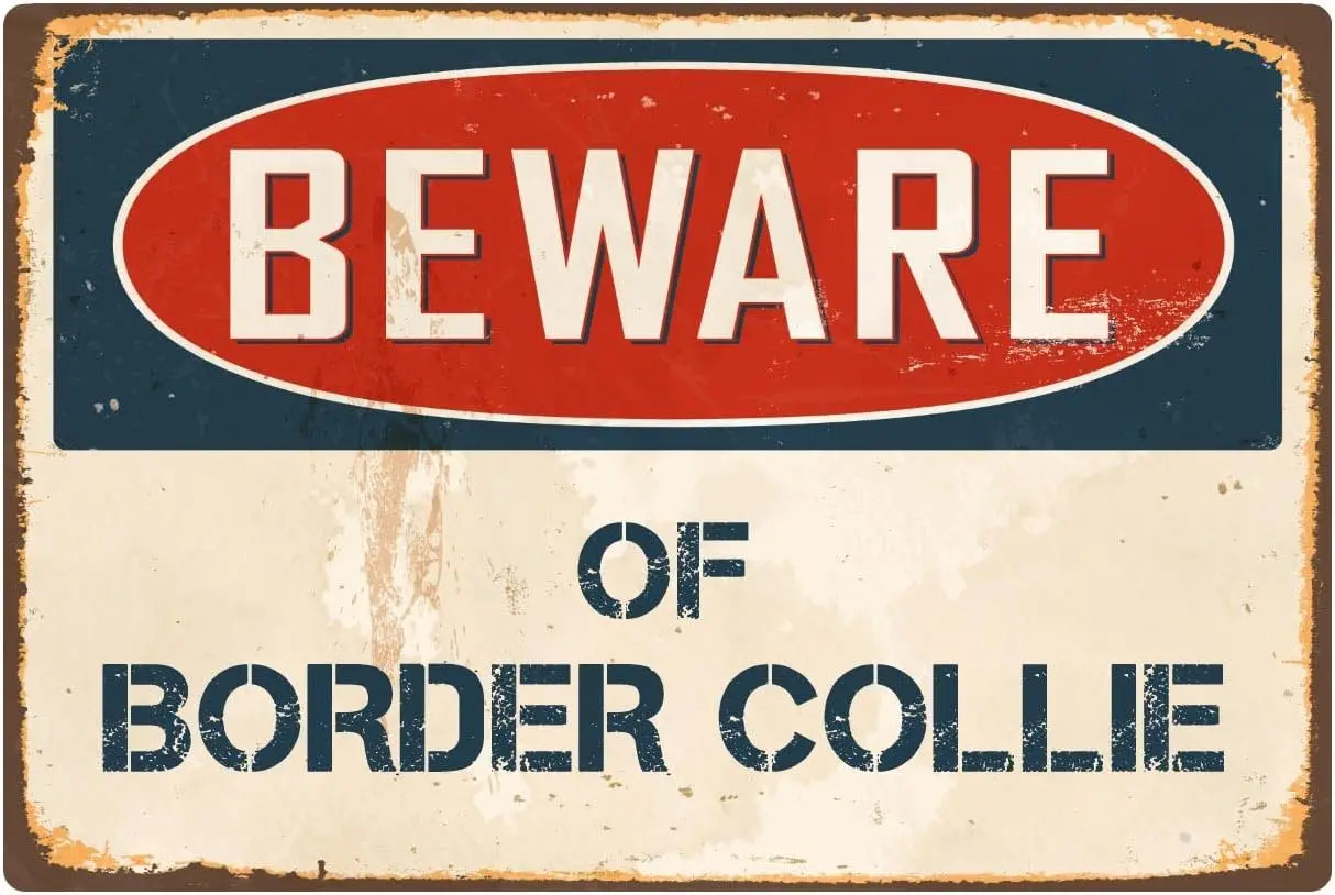 Beware Of Border Collie 8” x 12” Vintage Aluminum Retro Metal Sign VS068