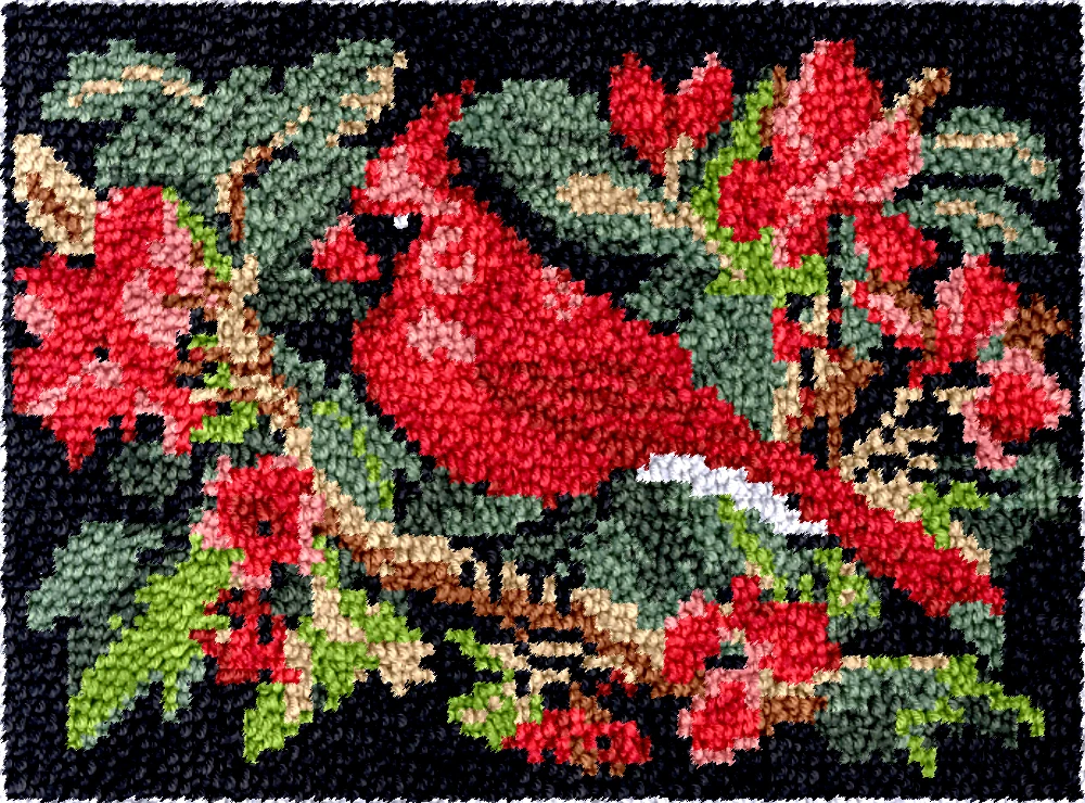 Red Parrot DT2617  Embroidery Canvas Latch Hook Kits, Unfinished Acrylic Yarn, Embroidery Cushion, Cross Stitch Carpet