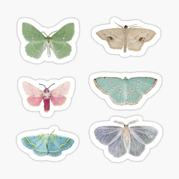 Pastel Moths  5PCS Stickers for Decor  Funny Wall Bumper Print Laptop Anime Window Luggage Kid Home Art Water Bottles Stickers