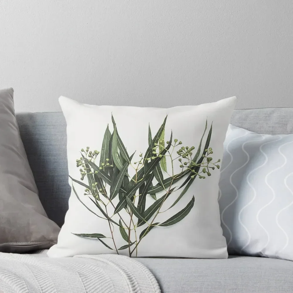 Eucalypt leaves, Western Australia Throw Pillow Christmas Covers For Cushions Pillow Cover pillow