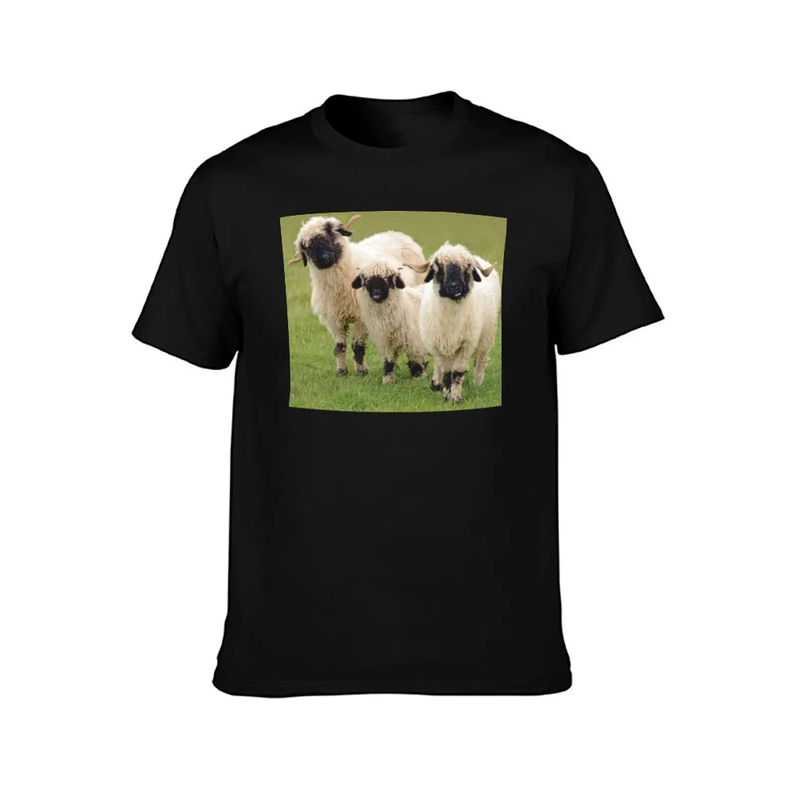 Swiss Valais Blacknose Sheep T-Shirt Classic Crew Neck Cotton T-Shirt