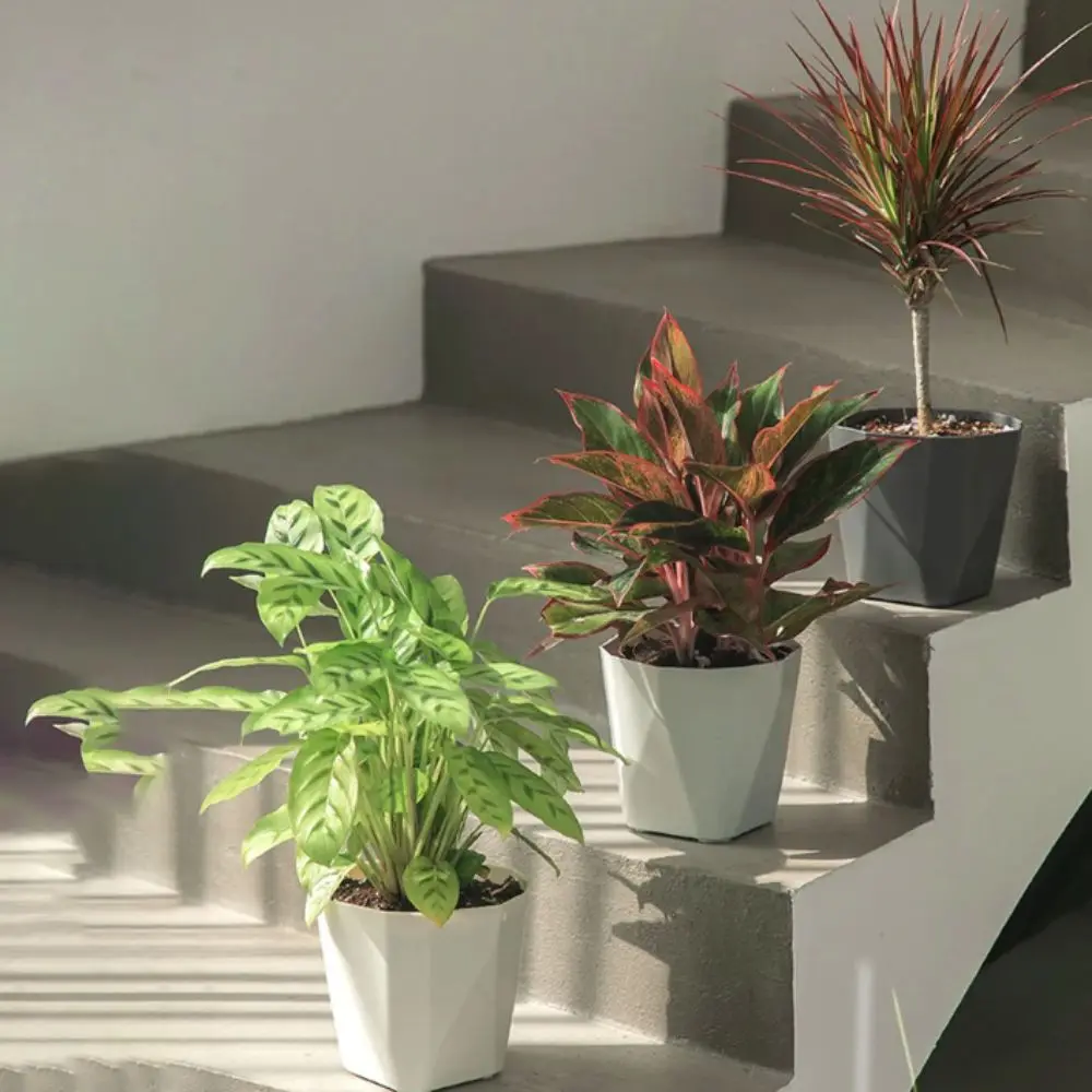 

3 Set Household Round Indoor Flowerpots Nordic Thickened Plant Pot Breathable Hole Resin Succulents Pot Potted Plants