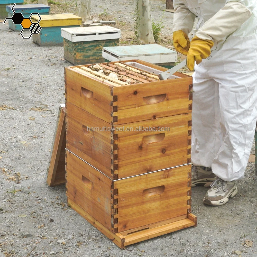 Three Tier 30 Frames Bee Hives Boxes 10 Frame Waxed Wooden Langstroth Beehive