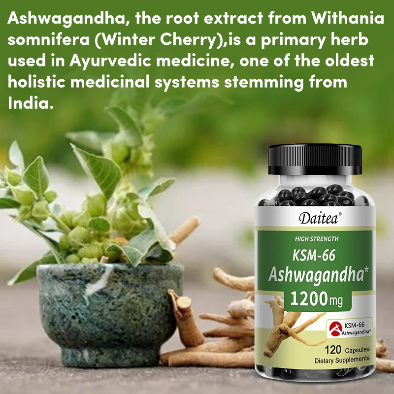 KSM 66 Ashwagandha - Helps with Brain and Memory, Relieves Stress, Maintains Energy and Focus, Promotes Healthy Muscle Growth