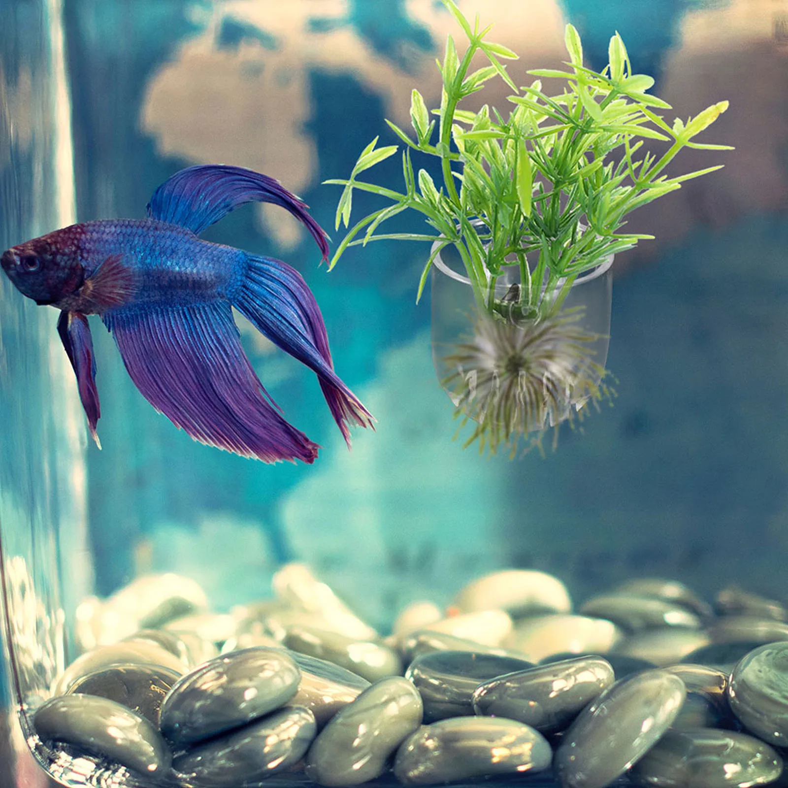 

8Pcs Fish Tank Plant Holder Acrylic Aquarium Planter with Hole Bottom Breathable Design Suction Cup Mount for Tropical Fish