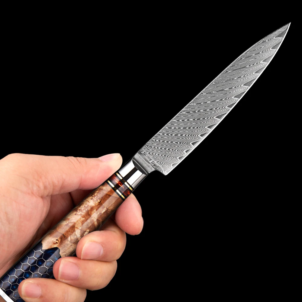 Coltello multiuso Damasco Coltello da cucina affilato da 5 pollici Coltello da bistecca per sbucciare frutta in acciaio Damasco VG10 Coltello affilato per pomodoro vegetale