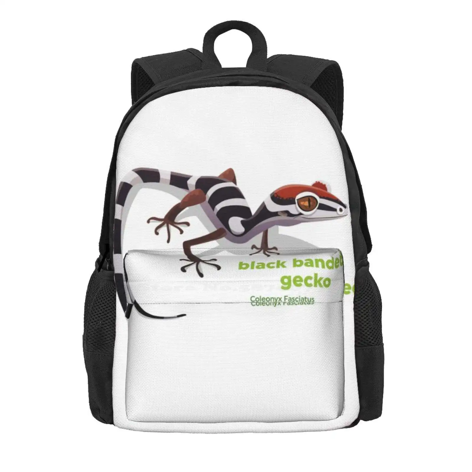 Black Banded Gecko (Coleonyx Fasciatus) Hot Sale Schoolbag Backpack Fashion Bags Collection Animals Species Original Gecko