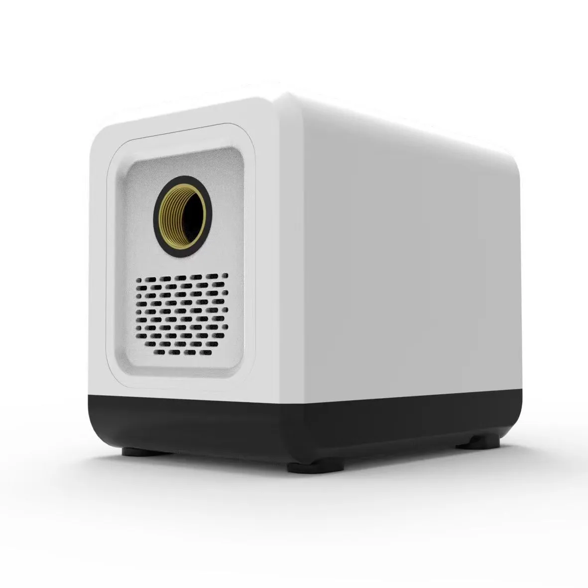 

Brushless permanent magnet variable frequency booster pump whole house booster self-priming pump bass intelligent pump 220V