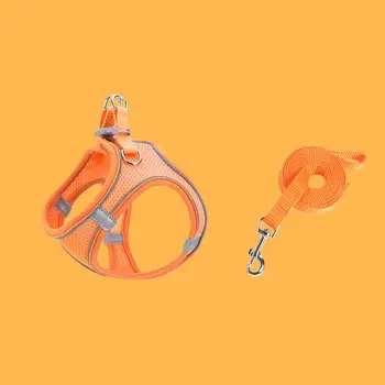 8 best sales Gürtel für Katze - №1