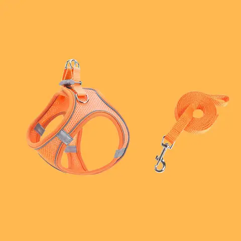 8 best sales bälte för katt - №1